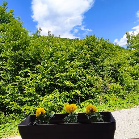 Feriehus House Of Peace At The Of The Pyramid Sun And Moon Visoko